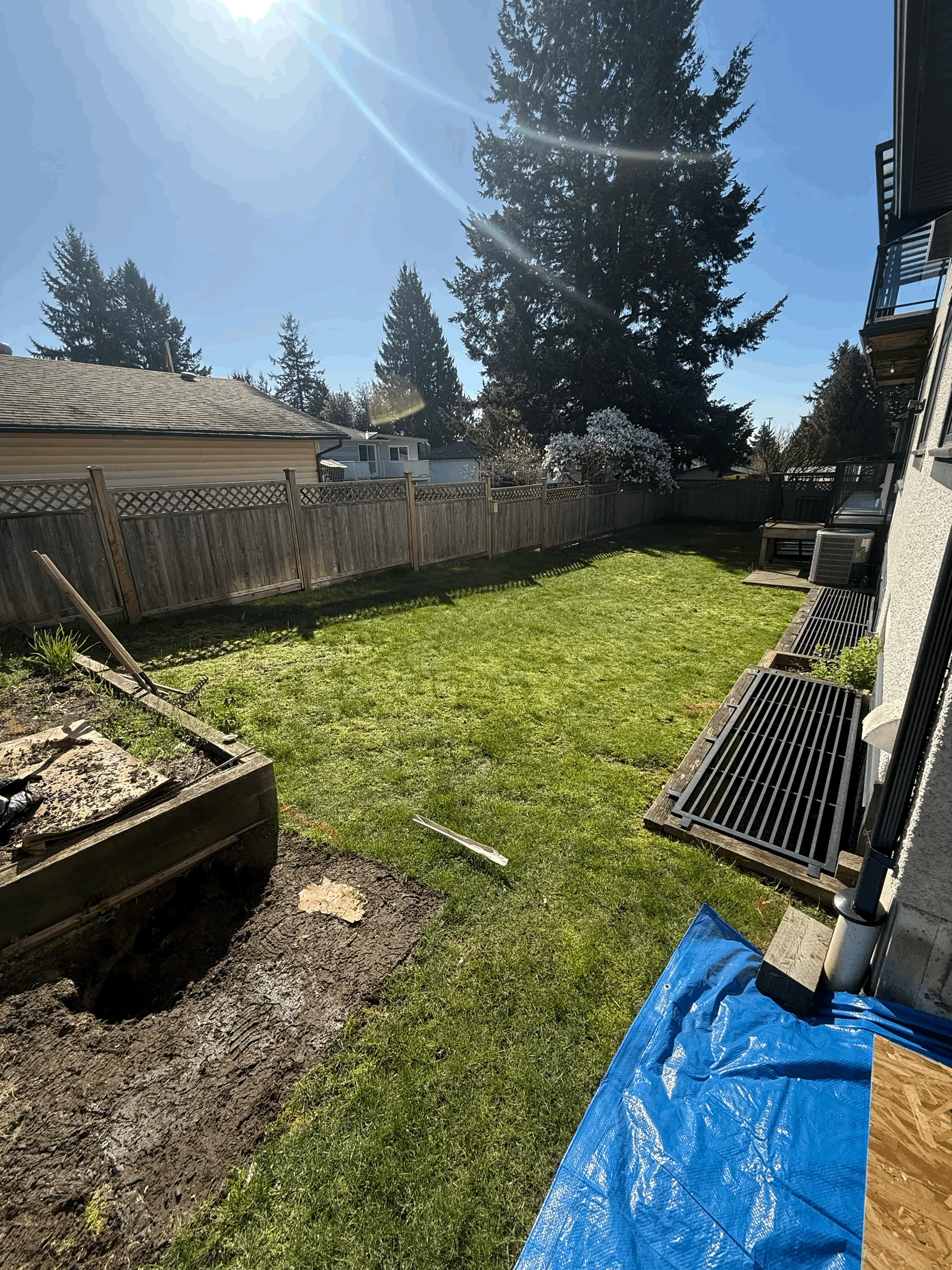 The back yard before work began, with worn turf and an ageing fence.