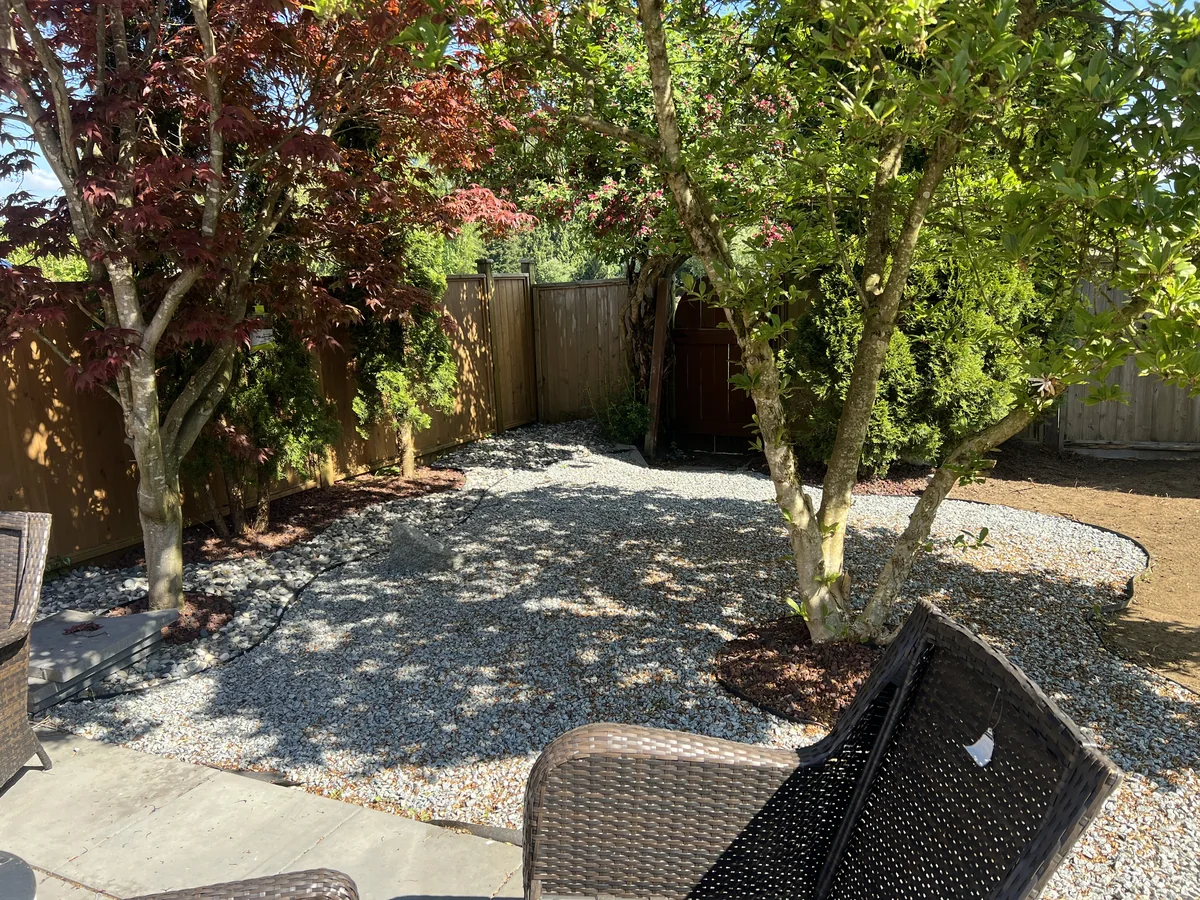 Gravel dry garden with mature trees and a seating area.