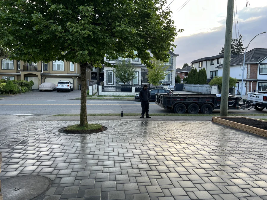 Newly laid interlocking paver driveway with a mature tree and a work truck on site.