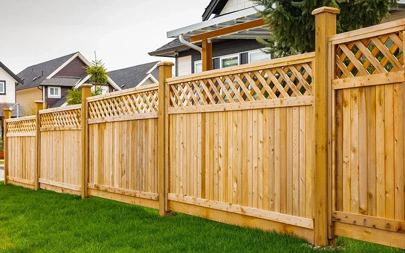 Cedar hedge lining a paver walkway beside a trimmed lawn.