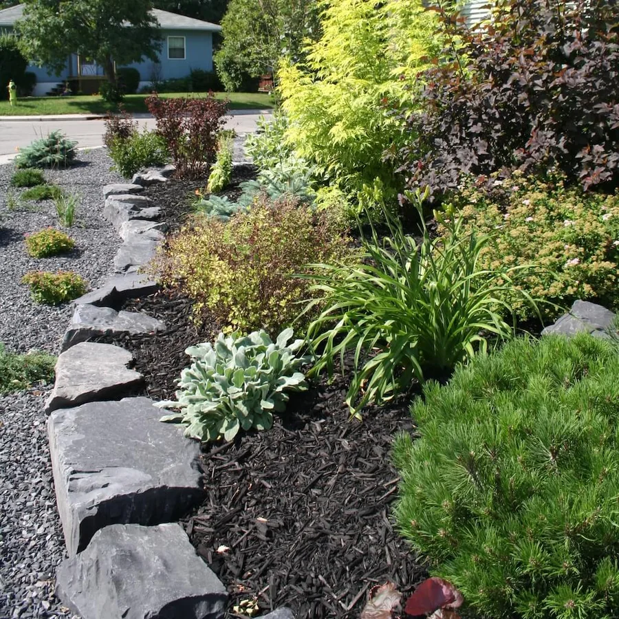 Rock garden bed with layered shrubs, grasses and a natural stone border.